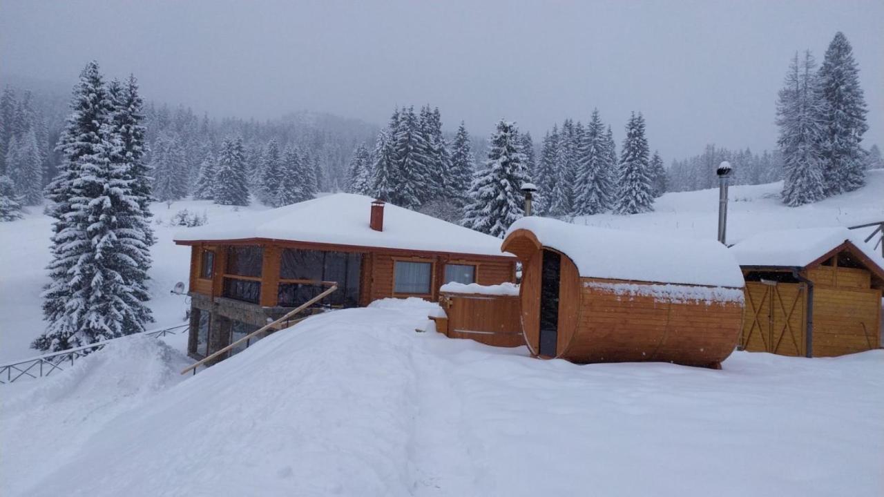 Вила Морава Pamporovo Exterior foto